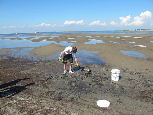 5115674862_fd9c5ce477