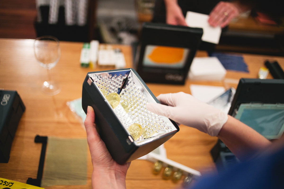 JTTC Hold Strong Gal